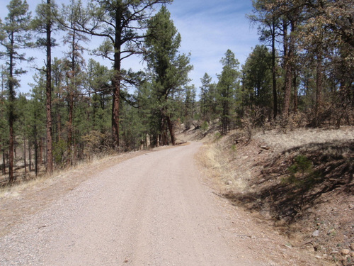 Descending into Diamond Creek Valley.